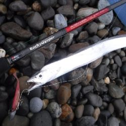 七里御浜サーフのショアジギ