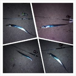 ライトタックルで初テンヤは爽快