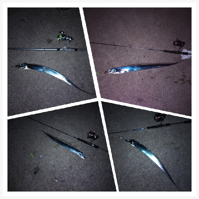 ライトタックルで初テンヤは爽快