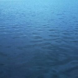 太刀魚シーズン終了？