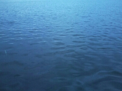 太刀魚シーズン終了？