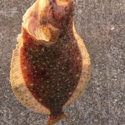 残業でラッキーかな