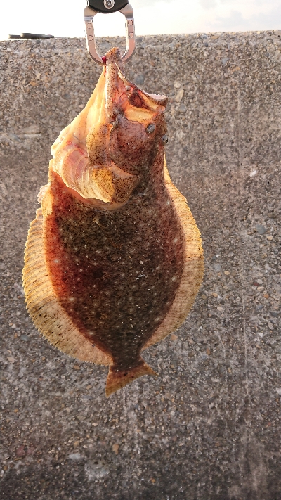 残業でラッキーかな