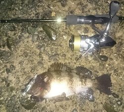 ライトゲームパラダイス