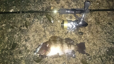 ライトゲームパラダイス