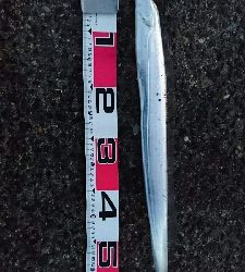 今日は子供もメインで