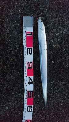 今日は子供もメインで