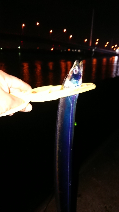 三宅さん試したくて。