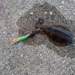 久しぶりの串本