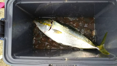 いきなりヒット！