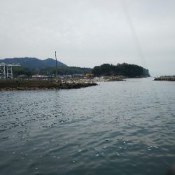 アジをもとめてーーー