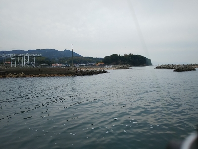 アジをもとめてーーー