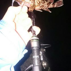 強風に戦いながら