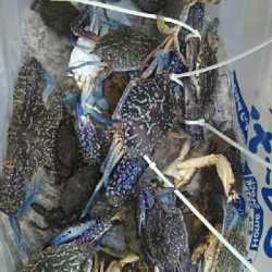 三重県まで遠征