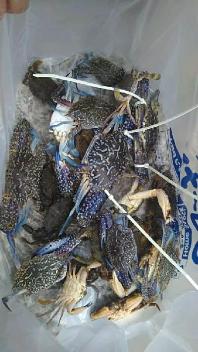 三重県まで遠征