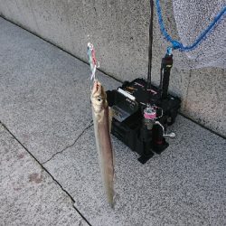 寒いです。爆風です。