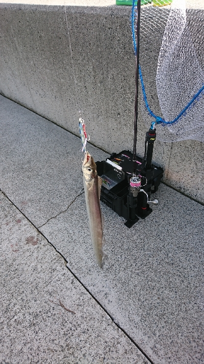 寒いです。爆風です。