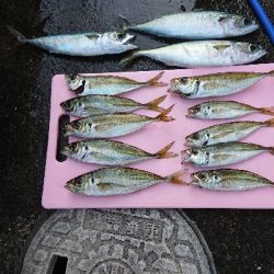 泳がせ釣りで大物狙い！
