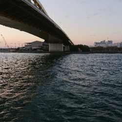 釣り部  釣行記  23