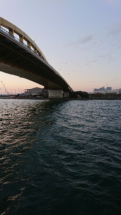 釣り部  釣行記  23