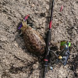 サクッとエギング