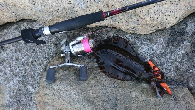 雨上がりの朝に