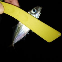 ナイスファイト！