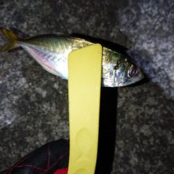 少なくなってきた