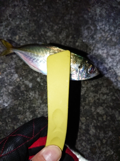 少なくなってきた