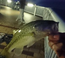 寒くなってきました。