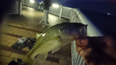 寒くなってきました。