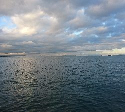 タチウオしか釣れない