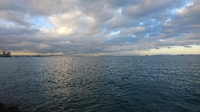 タチウオしか釣れない