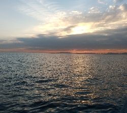 ドラゴン炸裂！