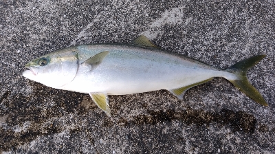 ラスト1投にドラマが！