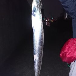 近所の河口にて