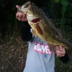 ビックワンゲット！！