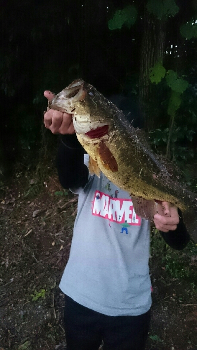 ビックワンゲット！！