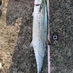 いよいよ終盤戦