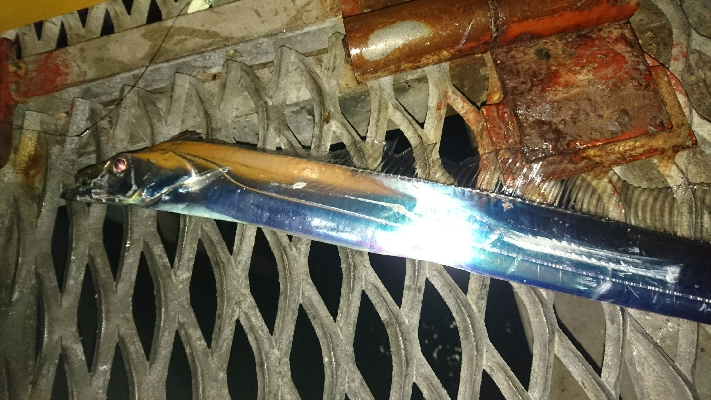 久しぶりにワインド