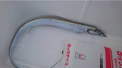 アタリはあっても