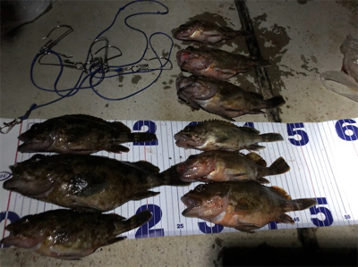 夕まずめからの爆釣フィッシング