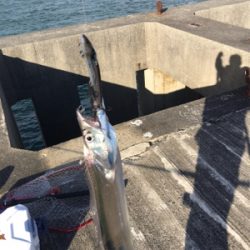 朝一ショアジギング