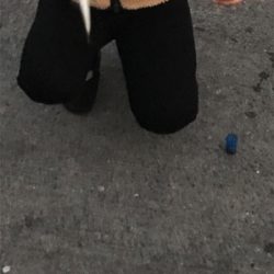 今日はシブいです。