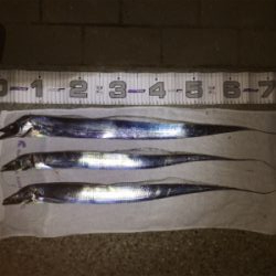 アタリは多いが、のりにくい