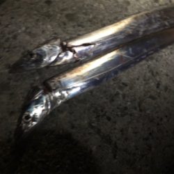 リベンジチャレンジ