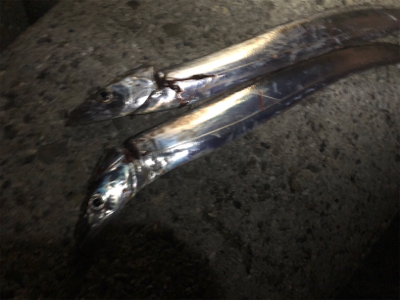 リベンジチャレンジ