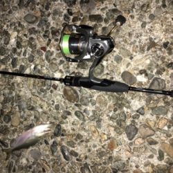 いつもの場所ライトゲーム