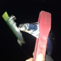 微妙…にタチウオ