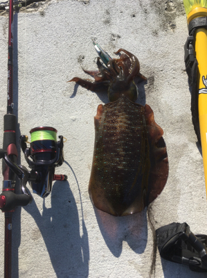 ランガンしながら